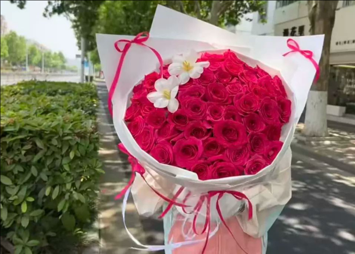 临沂苍山县花店